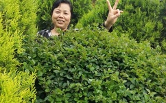 少妇被又大又粗又爽毛片久久黑人